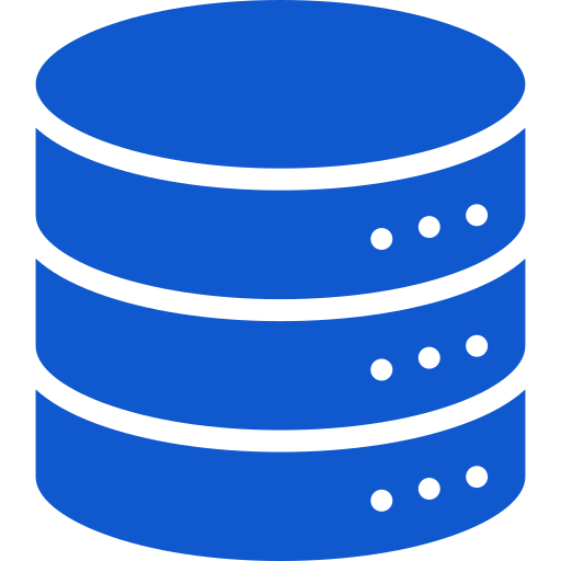 Data Mapping & Transformation